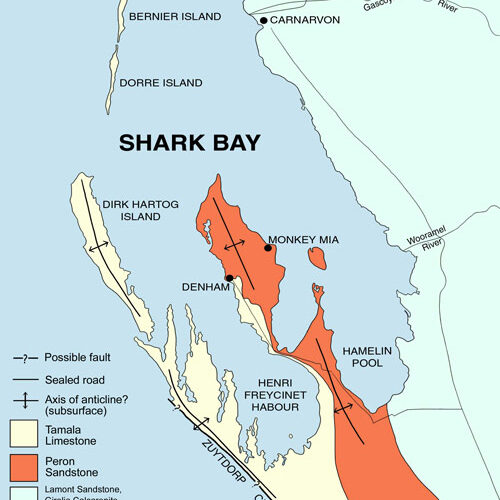 The landscapes of Shark Bay are shaped by Tamala limestone and Peron sandstone