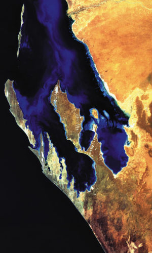 Shark Bay Satellite Image