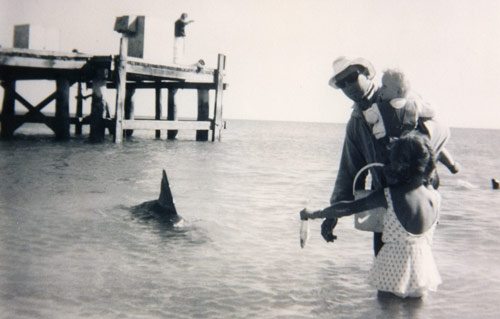 Shark Bay History