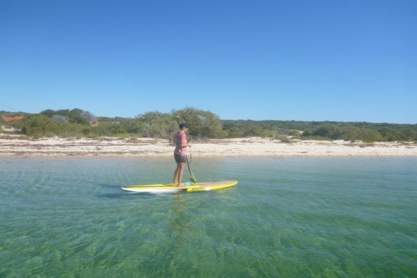Stand up paddle boarding on Big Lagoon