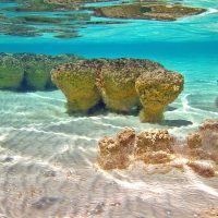 Unknown - stromatolites