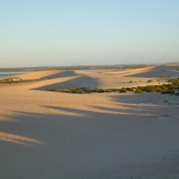 Dirk Hartog Island Tetradon Loop sand dunes