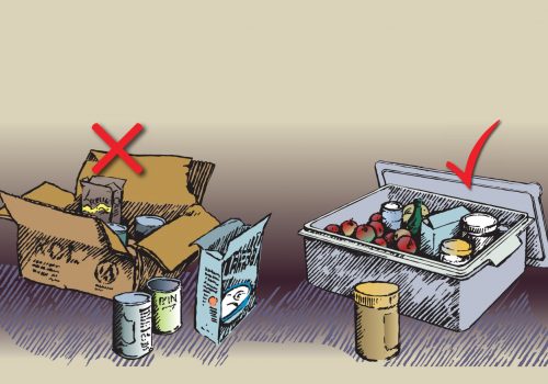 Avoid using cardboard boxes as they are more likely to harbor unwanted pests