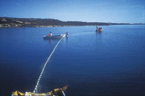 Commercial fishing in Shark Bay