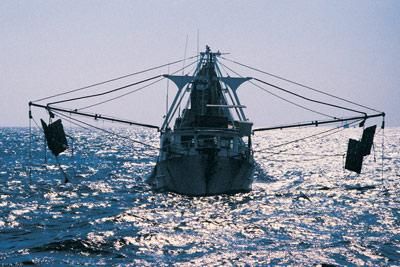 Commercial trawler