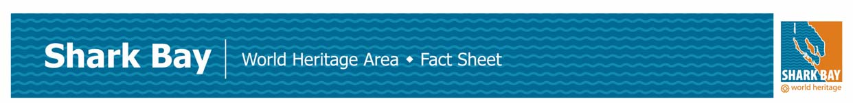Shark bay Fact Sheet