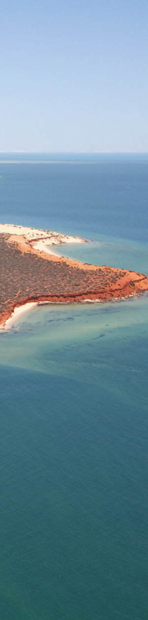 coast aerial shot