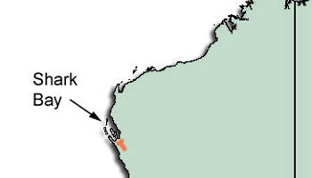 sharkbay Map