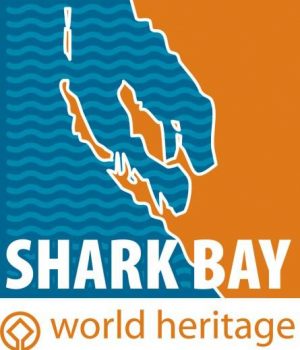 Shark bay